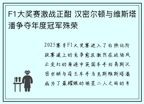 F1大奖赛激战正酣 汉密尔顿与维斯塔潘争夺年度冠军殊荣